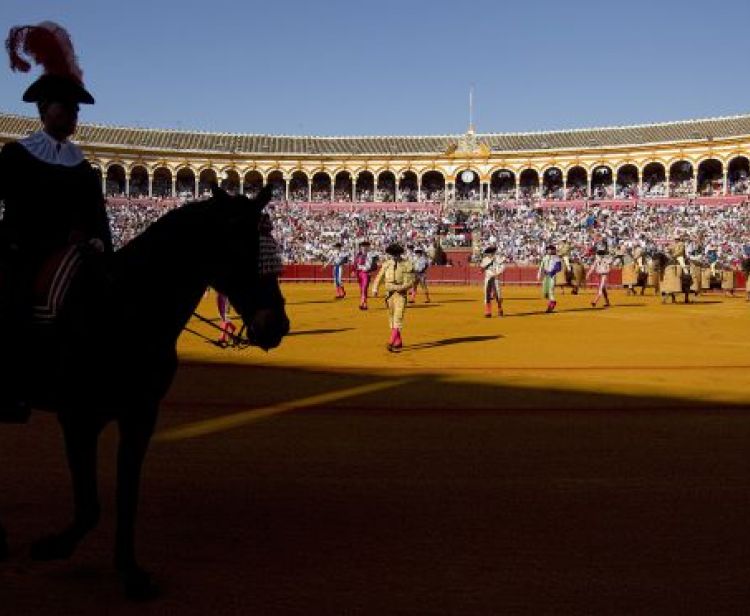 Visita Plaza de Toros de Sevilla