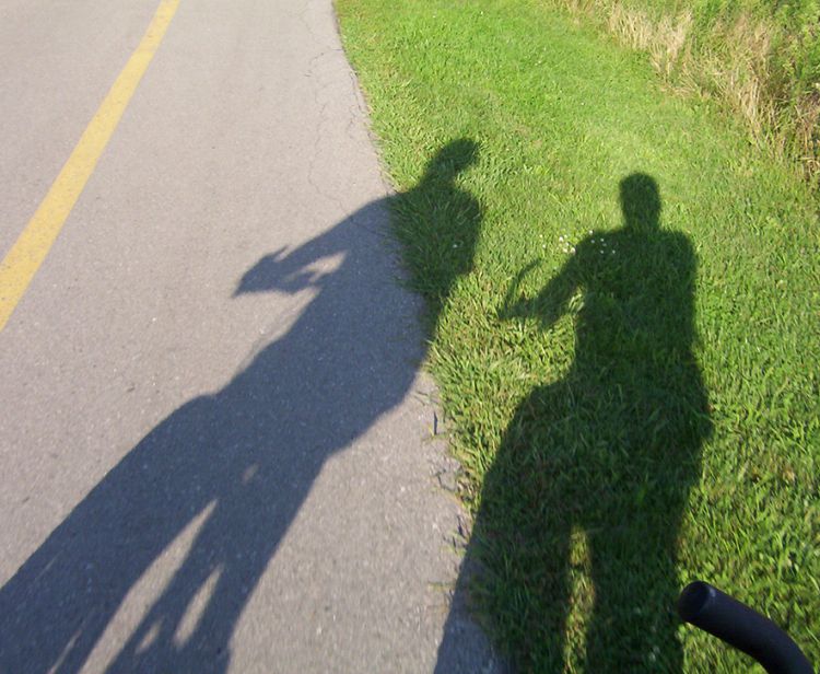 Tour en bici por Sevilla