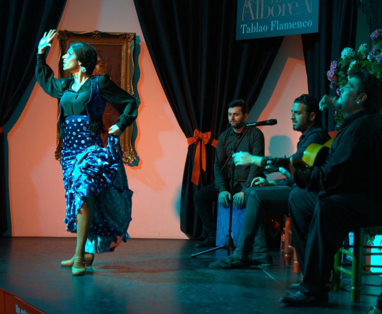 Espectáculo de Flamenco en Sevilla