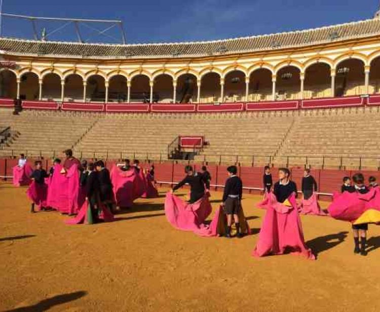 Visita Plaza de Toros de Sevilla