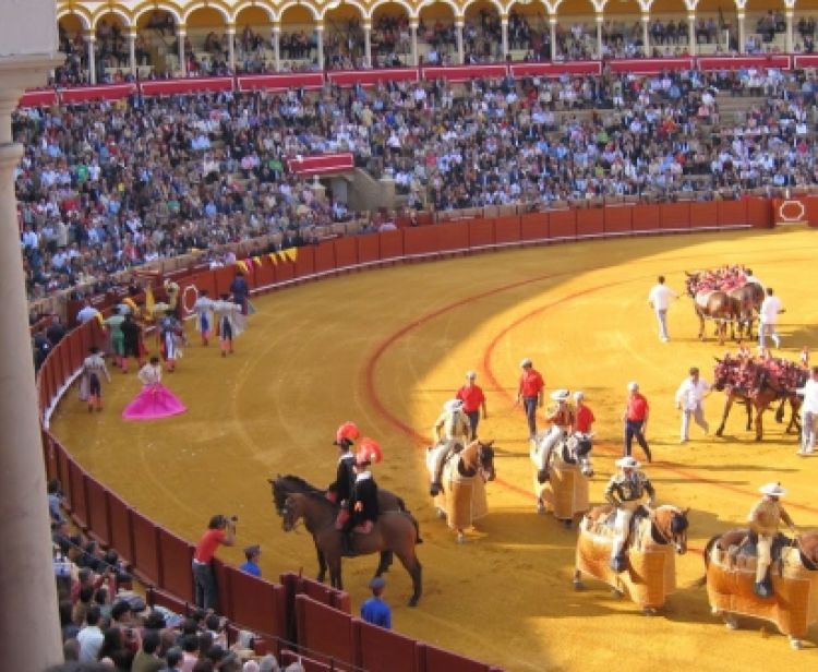 Visita Plaza de Toros de Sevilla