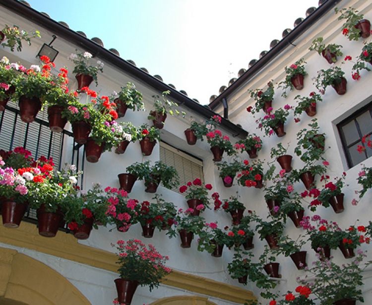 Free Tour Córdoba