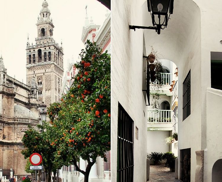 Tour Barrio Santa Cruz en Sevilla + Paseo en Barco por el Rio Guadalquivir en Sevilla