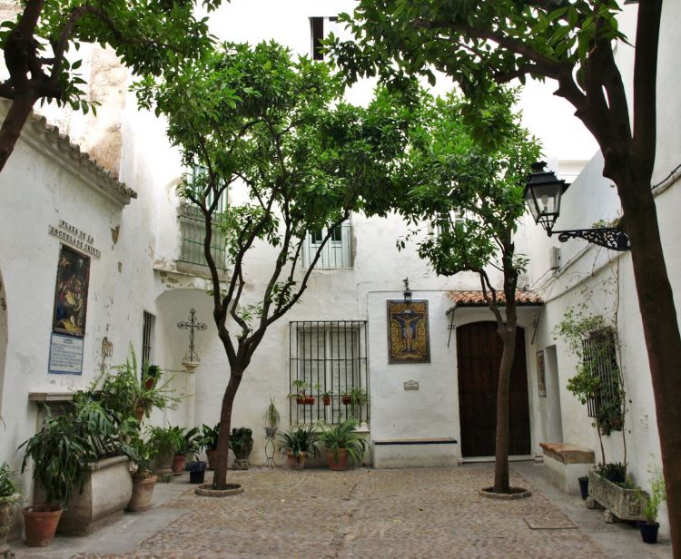 Tour Privado Catedral de Sevilla y Barrio de Santa Cruz