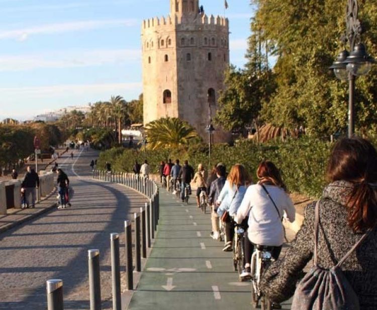 Tour en bici por Sevilla