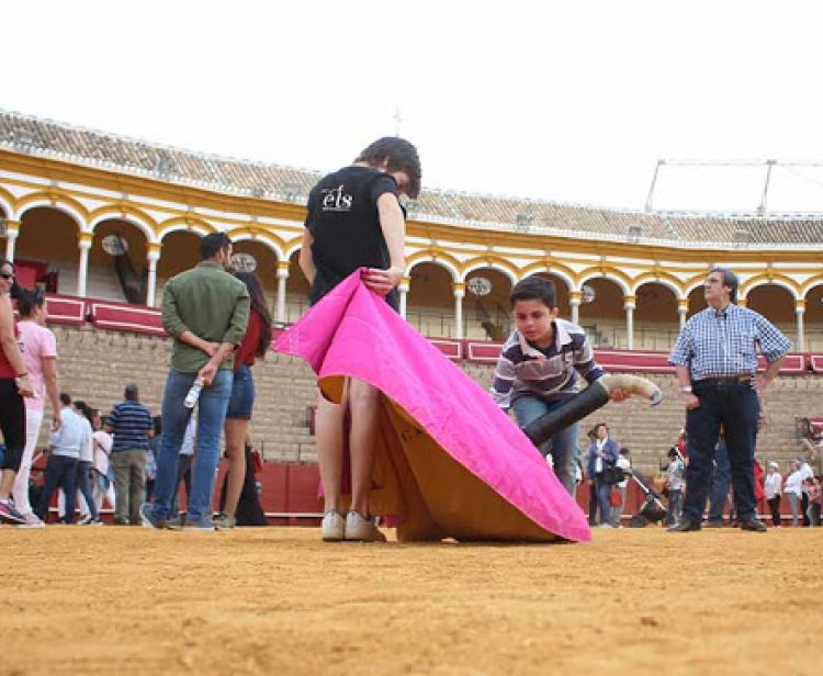 Visita Plaza de Toros de Sevilla