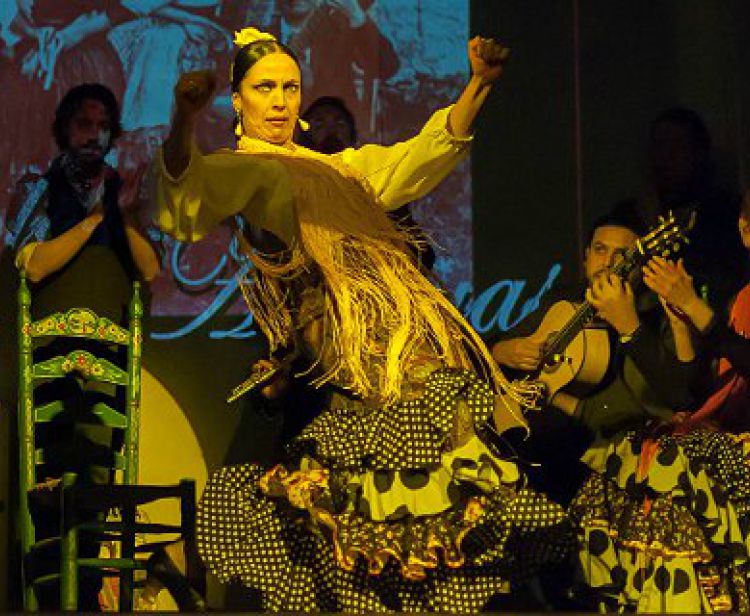 Flamenco show à Malaga