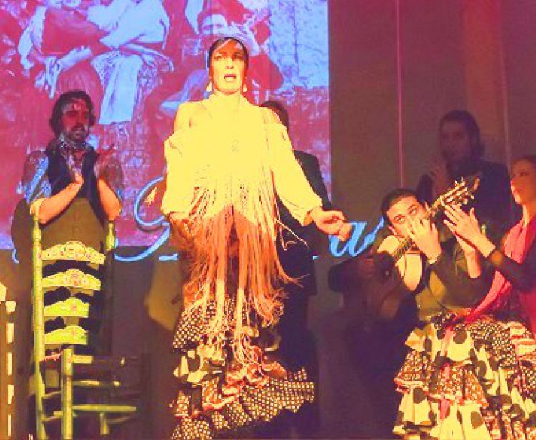 Flamenco show à Malaga