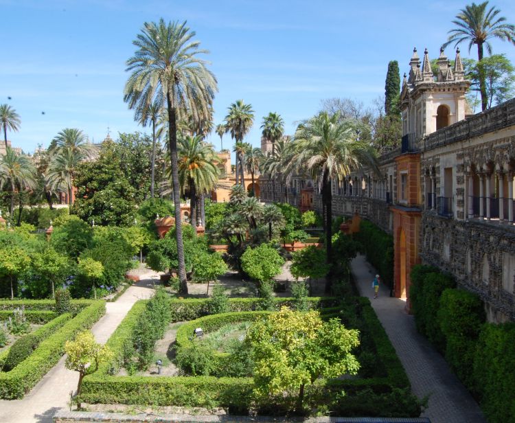 Tour guidé dans L´Alcazar de Séville  + Tour du Quartier Juif Santa Cruz  