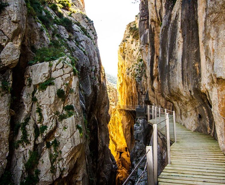 Visitez le Caminito del Rey