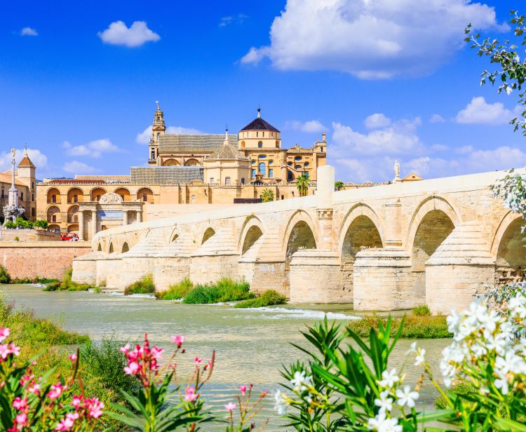 Cordoba Walking Private tour + Mosque-Cathedral