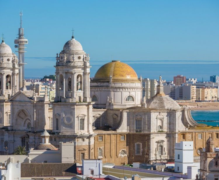 Guided tour of Cadiz Cathedral	
