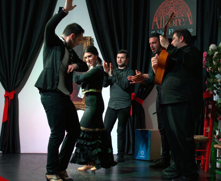 Granada Flamenco Show + Iberian Tasting