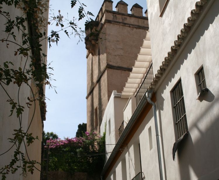 Seville Santa Cruz Jewish Quarter Tour + Tour inside the Cathedral & Giralda