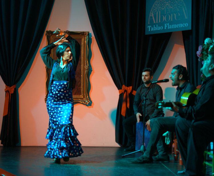 Flamenco nel Centro di Granada con Consumazione