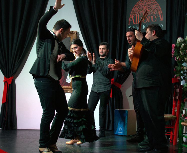 Flamenco nel centro di Granada con Assortimento di Salumi Iberici