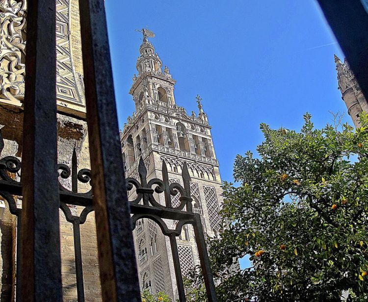 Tour con guida e biglietti per l'Alcazar e la Cattedrale di Siviglia + Tour del quartiere di Santa Cruz