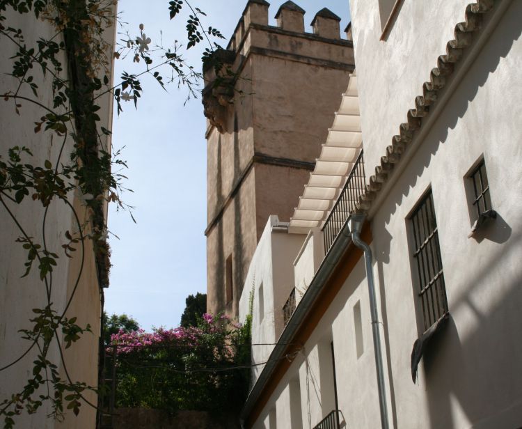 Tour del quartiere ebraico di Santa Cruz + spettacolo di Flamenco a Siviglia