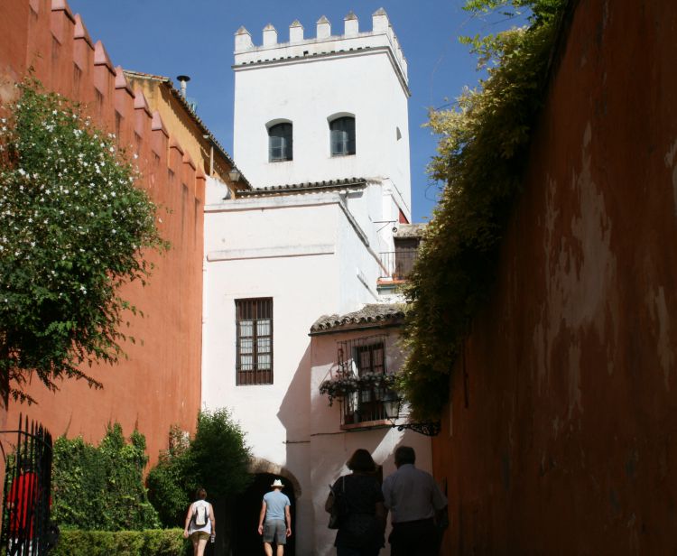 Tour del quartiere ebraico di Santa Cruz + spettacolo di Flamenco a Siviglia