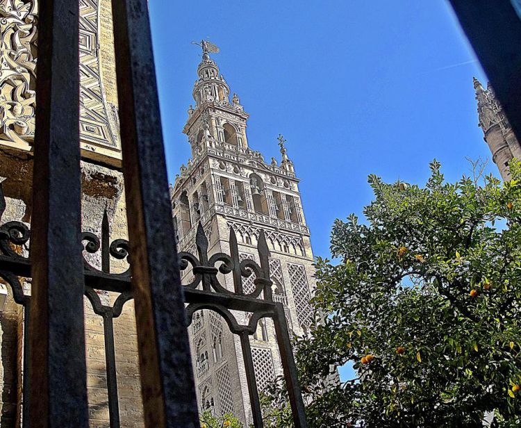 Экскурсия с гидом и билетами на Алькасар и Кафедральный собор Севильи + экскурсия по кварталу Санта-Крус